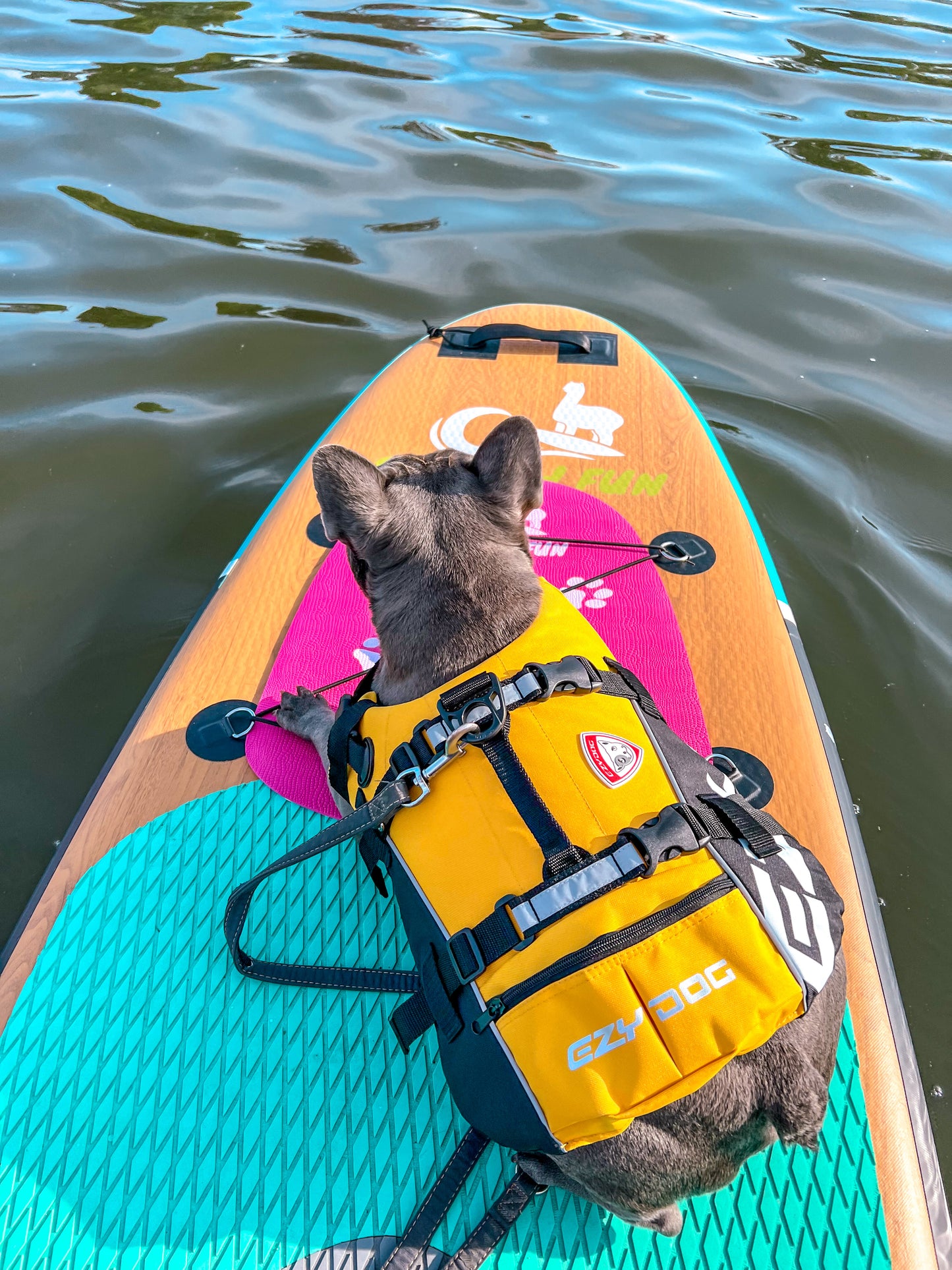 Sunny Lake Dog Pad - Allround Board